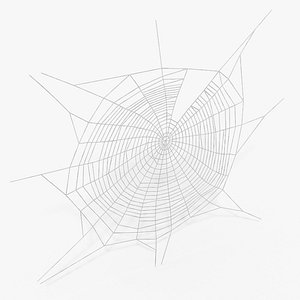 Spider Web in Circle Shape