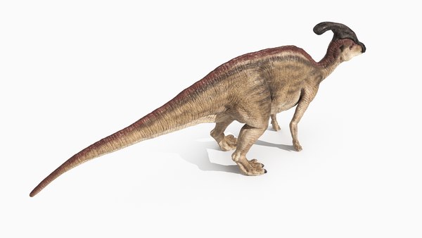 modelo 3d Parasaurolophus: aparejado y animado - TurboSquid 1775631