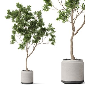 3D Plants collection 837 model