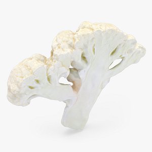 3D Cauliflower Slice