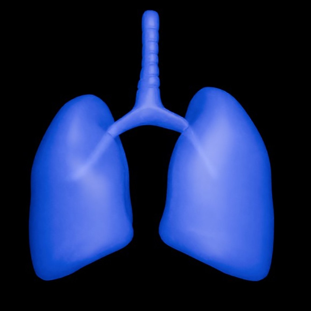 3D Organ with Cancer https://p.turbosquid.com/ts-thumb/Nv/xzPm2l/Hd/014/jpg/1773569978/1920x1080/fit_q87/60c8c719de5fc16ad132f9bcedc26b9d1a58ca99/014.jpg