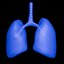 Organ with Cancer