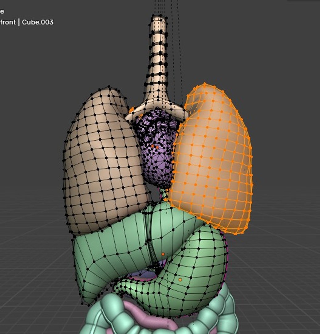 3D Organ with Cancer https://p.turbosquid.com/ts-thumb/Nv/xzPm2l/II/005/jpg/1773569973/1920x1080/fit_q87/ab47c06248aca079a63c15e2fdab8a0456b77ebb/005.jpg