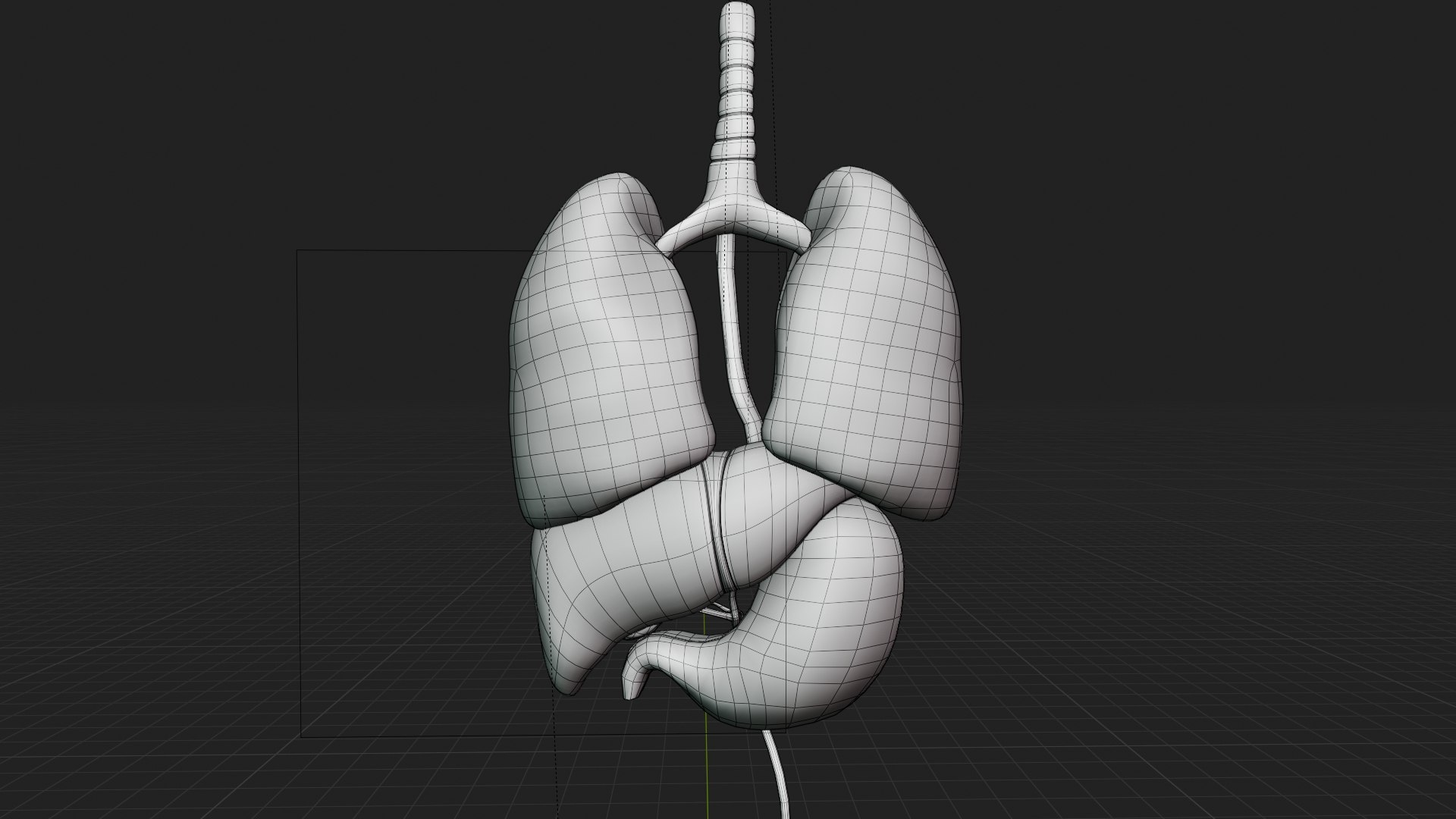 3D Organ with Cancer https://p.turbosquid.com/ts-thumb/Nv/xzPm2l/Po/view02/jpg/1773570967/1920x1080/fit_q87/6db15f7dc9de1d7d1cdc0596f3c46da4503007f8/view02.jpg
