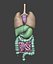 Organ with Cancer