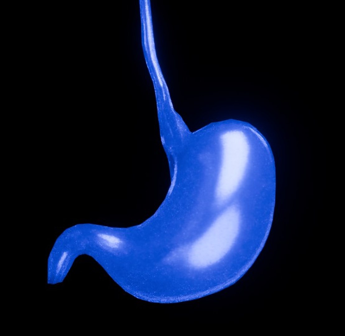 3D Organ with Cancer https://p.turbosquid.com/ts-thumb/Nv/xzPm2l/v1/015/jpg/1773569979/1920x1080/fit_q87/f9444c3bff222beae33cb84ea358ef3966cd03f2/015.jpg