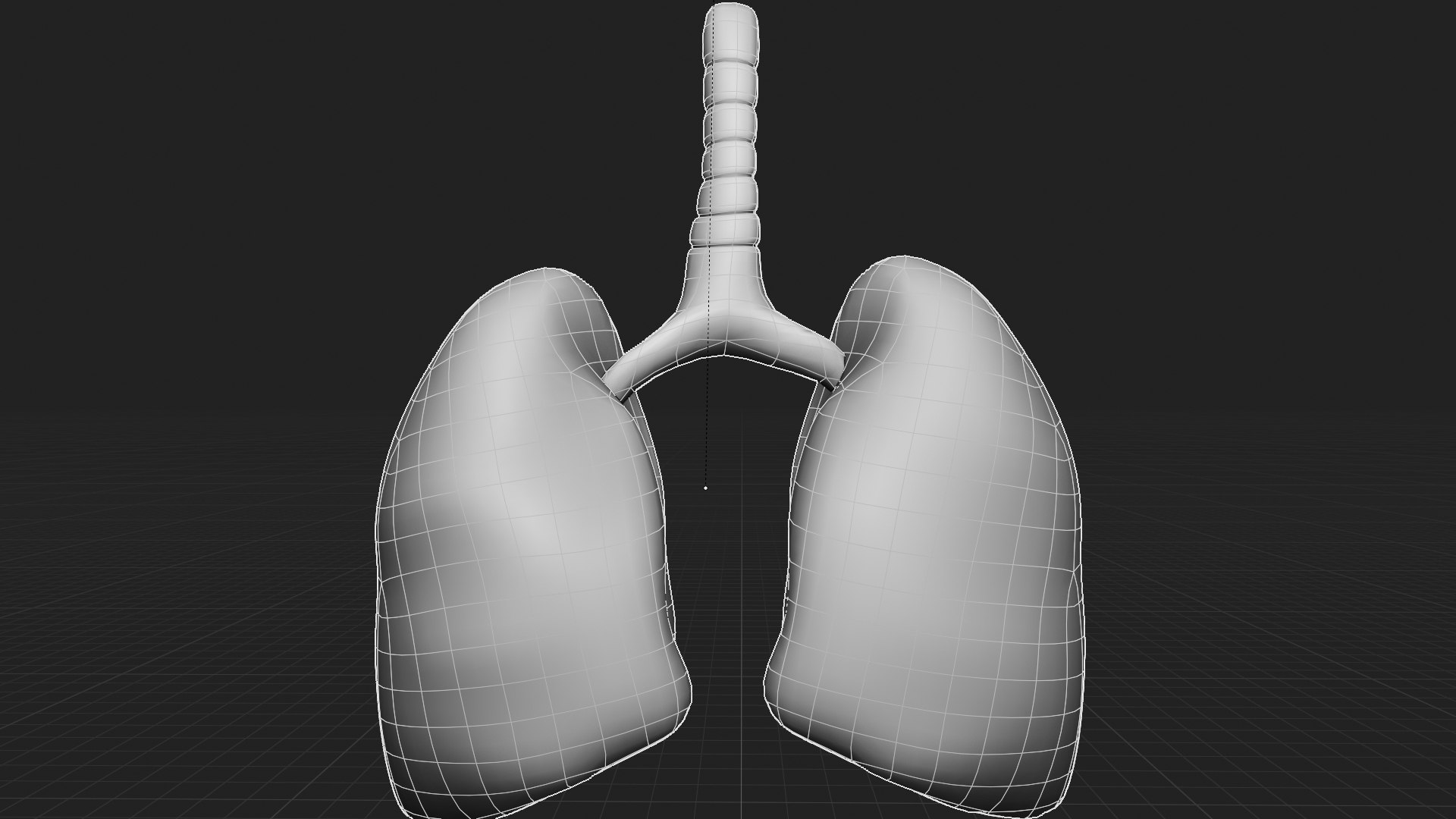 3D Organ with Cancer https://p.turbosquid.com/ts-thumb/Nv/xzPm2l/vY/view01/jpg/1773570712/1920x1080/fit_q87/8751ddfb1d4abf11370ac28cab4da432970cd6fa/view01.jpg