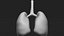Organ with Cancer