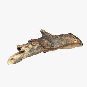 3D photorealistic stick model