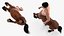 Male Centaur Action Pose Fur