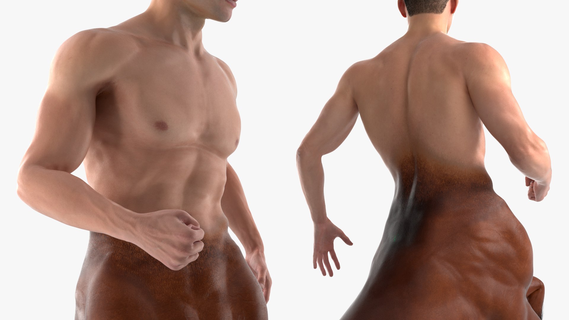 3D model Male Centaur Action Pose Fur https://p.turbosquid.com/ts-thumb/Nw/Bga8nh/az/male_centaur_action_pose_fur_008/jpg/1746945381/1920x1080/fit_q87/ebbf82cff42ac83cae1d03f71a078a946d60b774/male_centaur_action_pose_fur_008.jpg