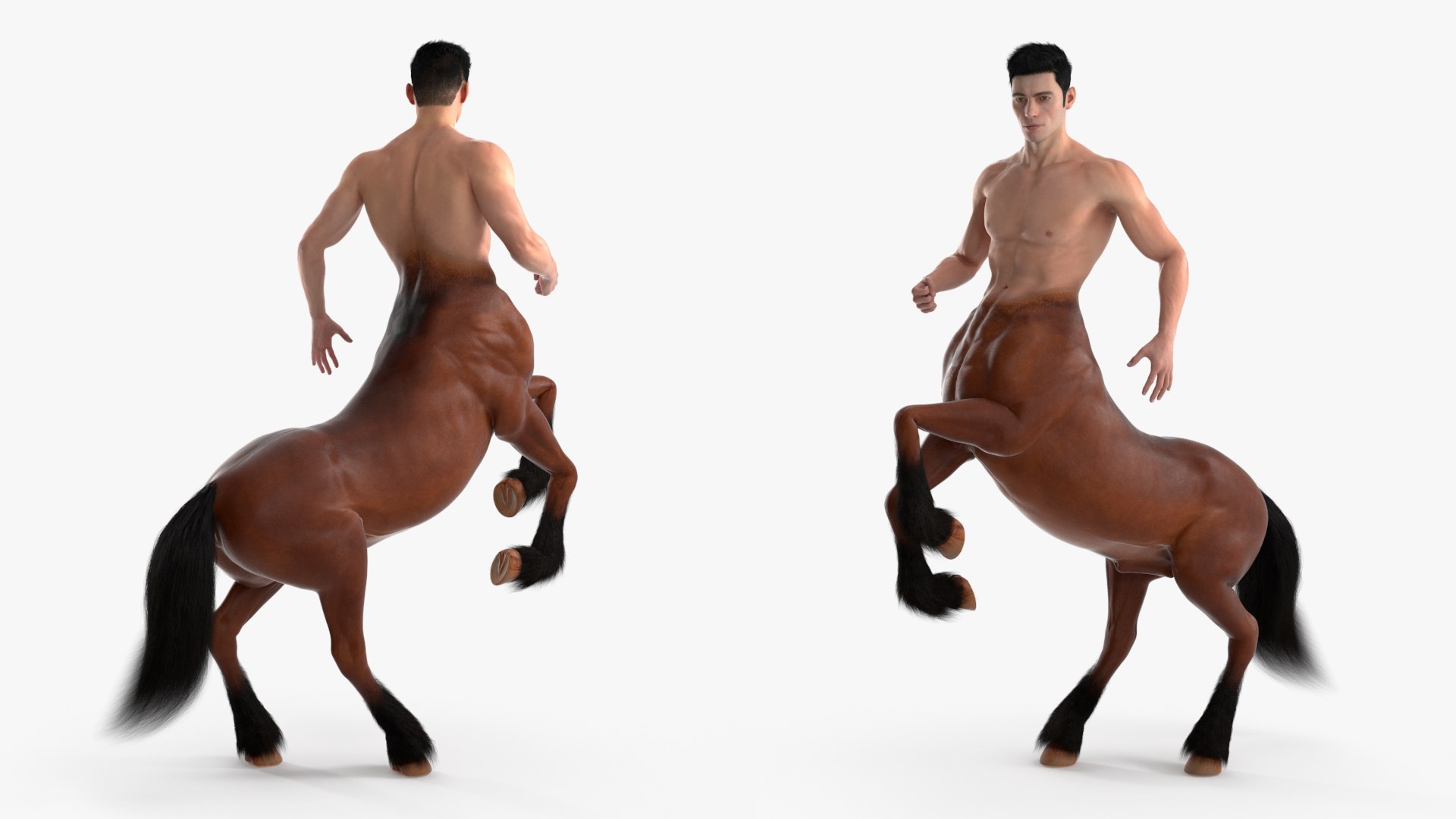 3D model Male Centaur Action Pose Fur https://p.turbosquid.com/ts-thumb/Nw/Bga8nh/it/male_centaur_action_pose_fur_005/jpg/1746945373/1920x1080/fit_q87/bdcc96cb74e2f8d6ccbb30f599387c832582ee2c/male_centaur_action_pose_fur_005.jpg