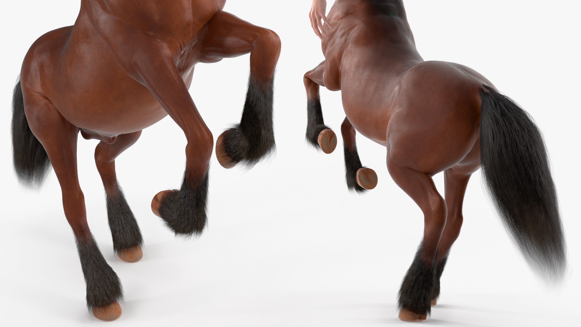 3D model Male Centaur Action Pose Fur https://p.turbosquid.com/ts-thumb/Nw/Bga8nh/kD/male_centaur_action_pose_fur_009/jpg/1746945383/1920x1080/fit_q87/10328c1cadcbb089042d824b5655d5e9a374817d/male_centaur_action_pose_fur_009.jpg