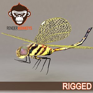3d model dragonfly rigged