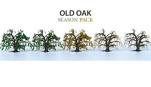 3D old oak seasons model
