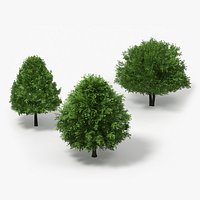 LowPoly Deciduous Trees with Dense Foliage Set Green