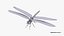 Libellula