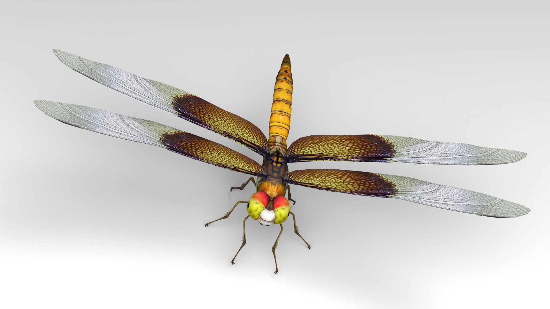 3d dragonfly cheetah3d model https://p.turbosquid.com/ts-thumb/Nw/McDOYJ/NxCY4YB1/dragonfly_4/jpg/1589910903/1920x1080/fit_q87/09e59964f568e6fd7d88f75804c195e1e6f95260/dragonfly_4.jpg