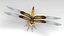 Libellula