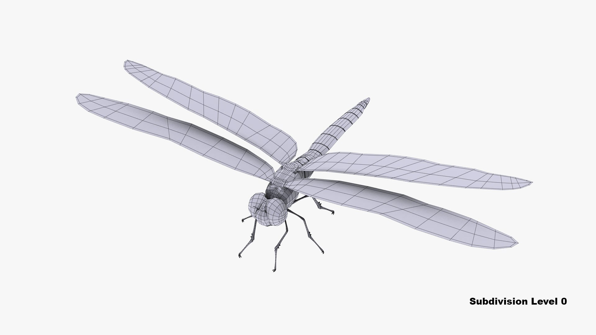 3d dragonfly cheetah3d model https://p.turbosquid.com/ts-thumb/Nw/McDOYJ/Ul7CIyuM/dragonfly_camera01_wire_thumbnail_8/jpg/1589910903/1920x1080/fit_q87/ab66f9628461667da3b3bbf2480171cc36592112/dragonfly_camera01_wire_thumbnail_8.jpg