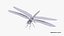 Libellula