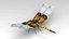 Libellula