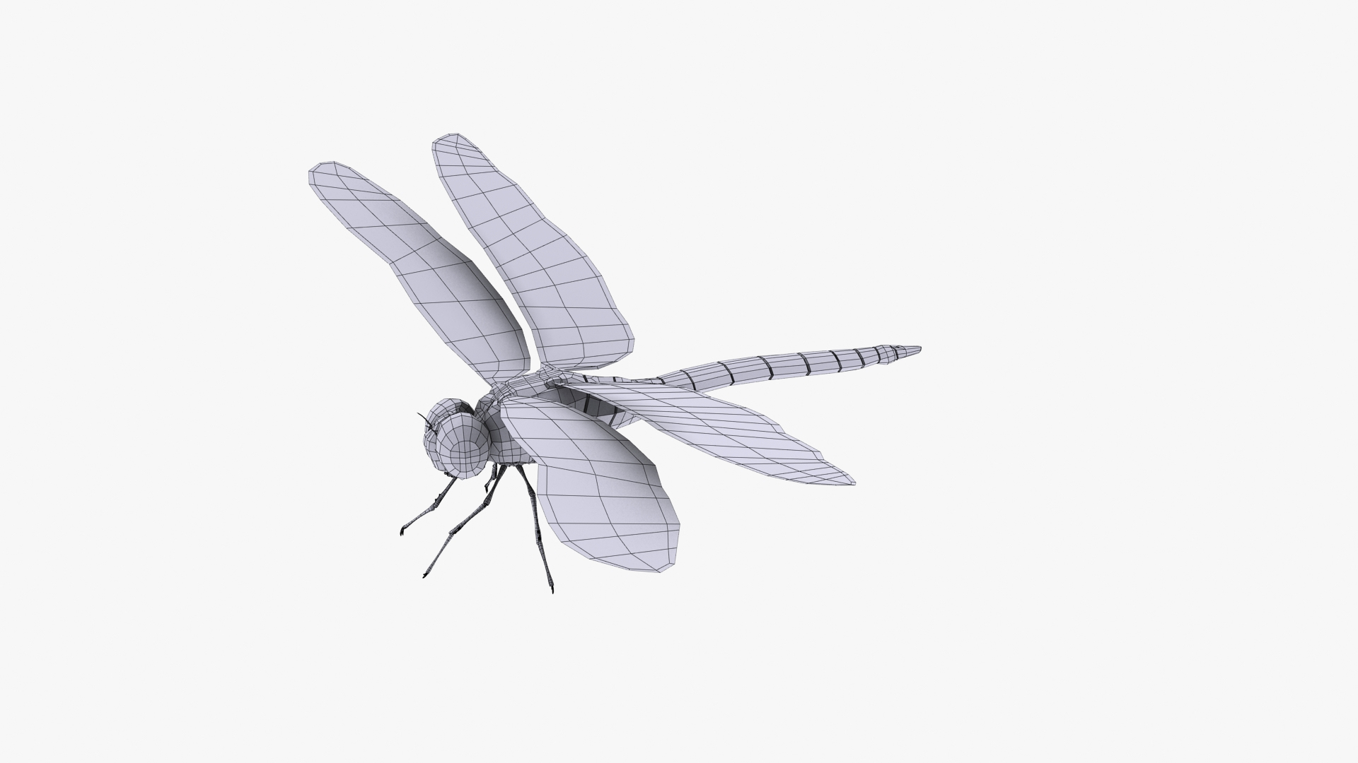 3d dragonfly cheetah3d model