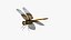 Libellula