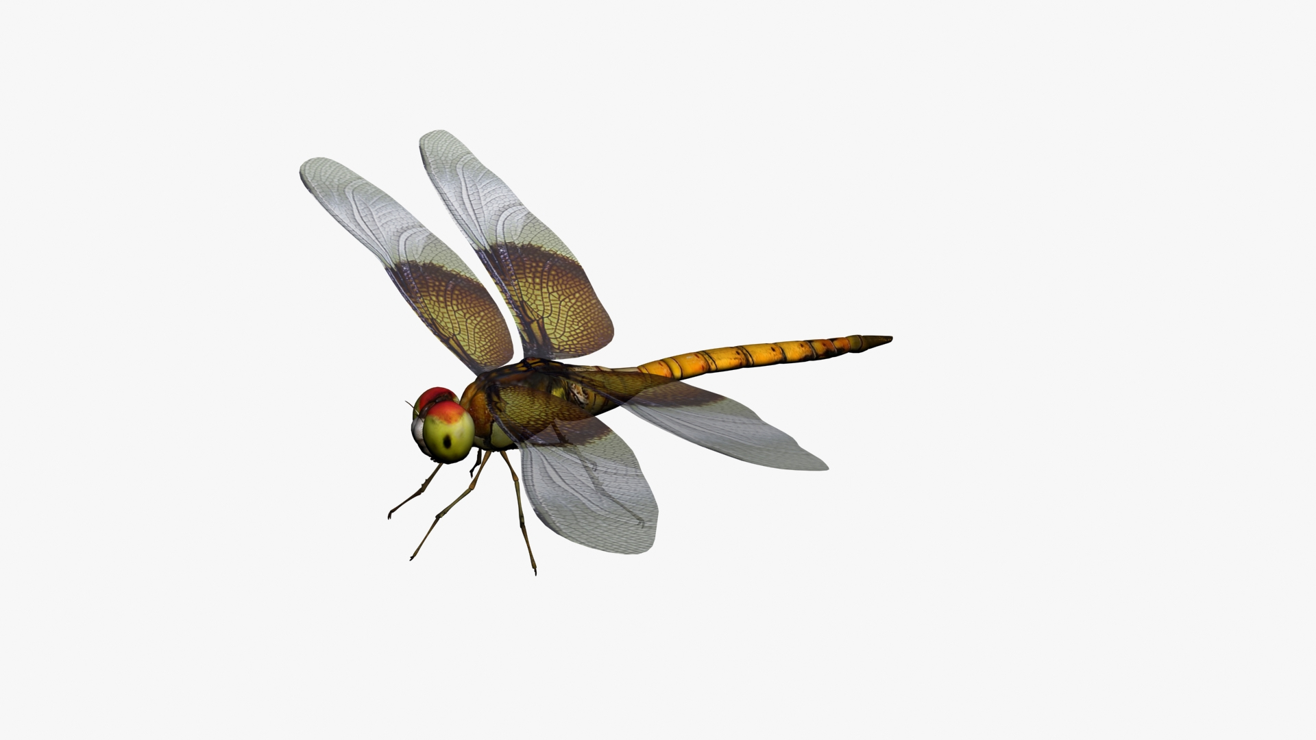 3d dragonfly cheetah3d model https://p.turbosquid.com/ts-thumb/Nw/McDOYJ/zPWM7wmN/dragonfly_camera01_thumbnail_6/jpg/1589911028/1920x1080/turn_fit_q99/d792a5f97e768b241998d455f4fc625d7d73ff11/dragonfly_camera01_thumbnail_6-1.jpg