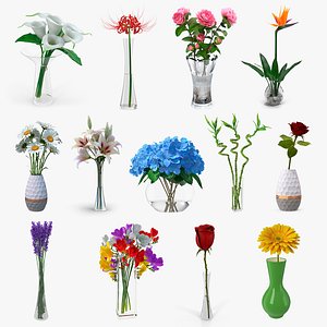 Flowers in Vases Collection 5 3D model