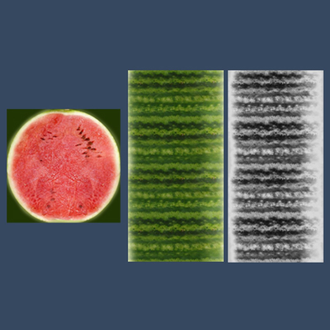 watermelon water melon 3d model https://p.turbosquid.com/ts-thumb/Nw/Y80dy0/JOteMLPF/watermelon.z.tex/jpg/1282859491/1920x1080/fit_q87/1fabc99dd97af9357061cdd8d31472e1841c1cdc/watermelon.z.tex.jpg