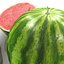 Watermelon.MF