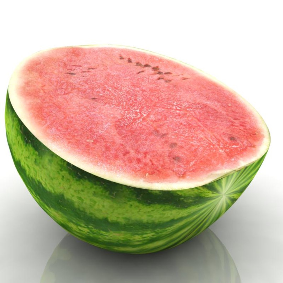 Watermelon Water Melon 3d Model