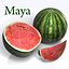 Watermelon.MF