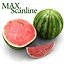 Watermelon.MF