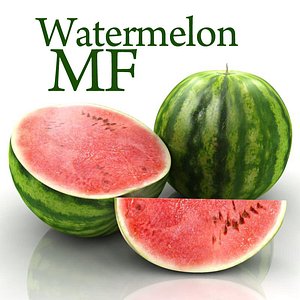 watermelon water melon 3d model