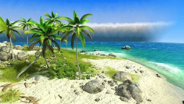 island pflow palms 3d model