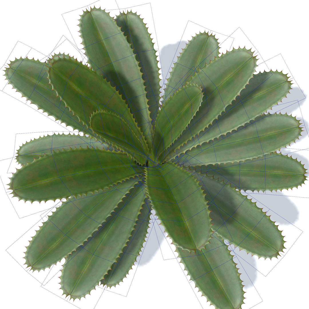 aloe vera plant 3D model https://p.turbosquid.com/ts-thumb/Nw/lGA6A1/AewSMljl/01/jpg/1511381560/1920x1080/turn_fit_q99/2580d438ca657debbdc8e0c3a39be76c5c14696b/01-1.jpg