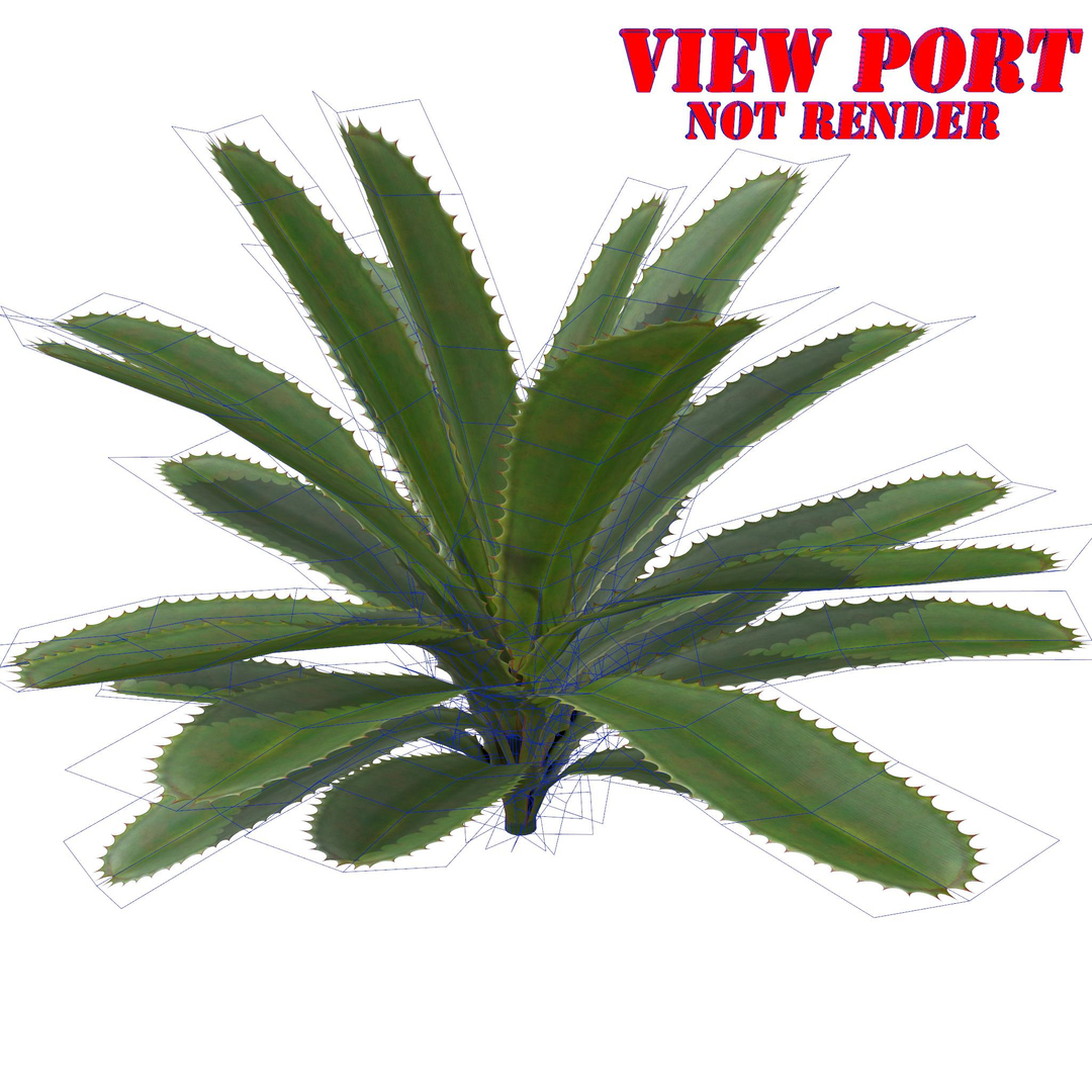 aloe vera plant 3D model https://p.turbosquid.com/ts-thumb/Nw/lGA6A1/EqFobUnN/01/jpg/1511381248/1920x1080/turn_fit_q99/d59b02fc8cc952a932bc6e9d5bcaf1bc6bfc31ba/01-1.jpg