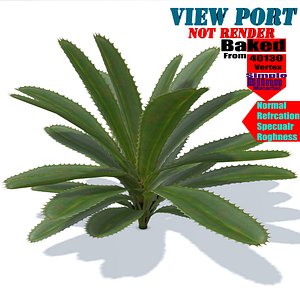 low poly small plant