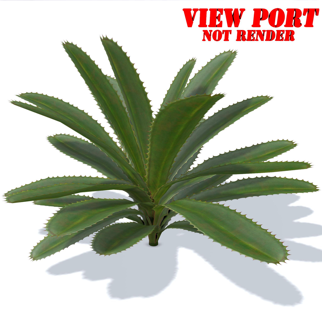 aloe vera plant 3D model https://p.turbosquid.com/ts-thumb/Nw/lGA6A1/YTsPkF1z/01/jpg/1511381070/1920x1080/turn_fit_q99/520ec809c48c934909b13e343f9f87c9214e774b/01-1.jpg