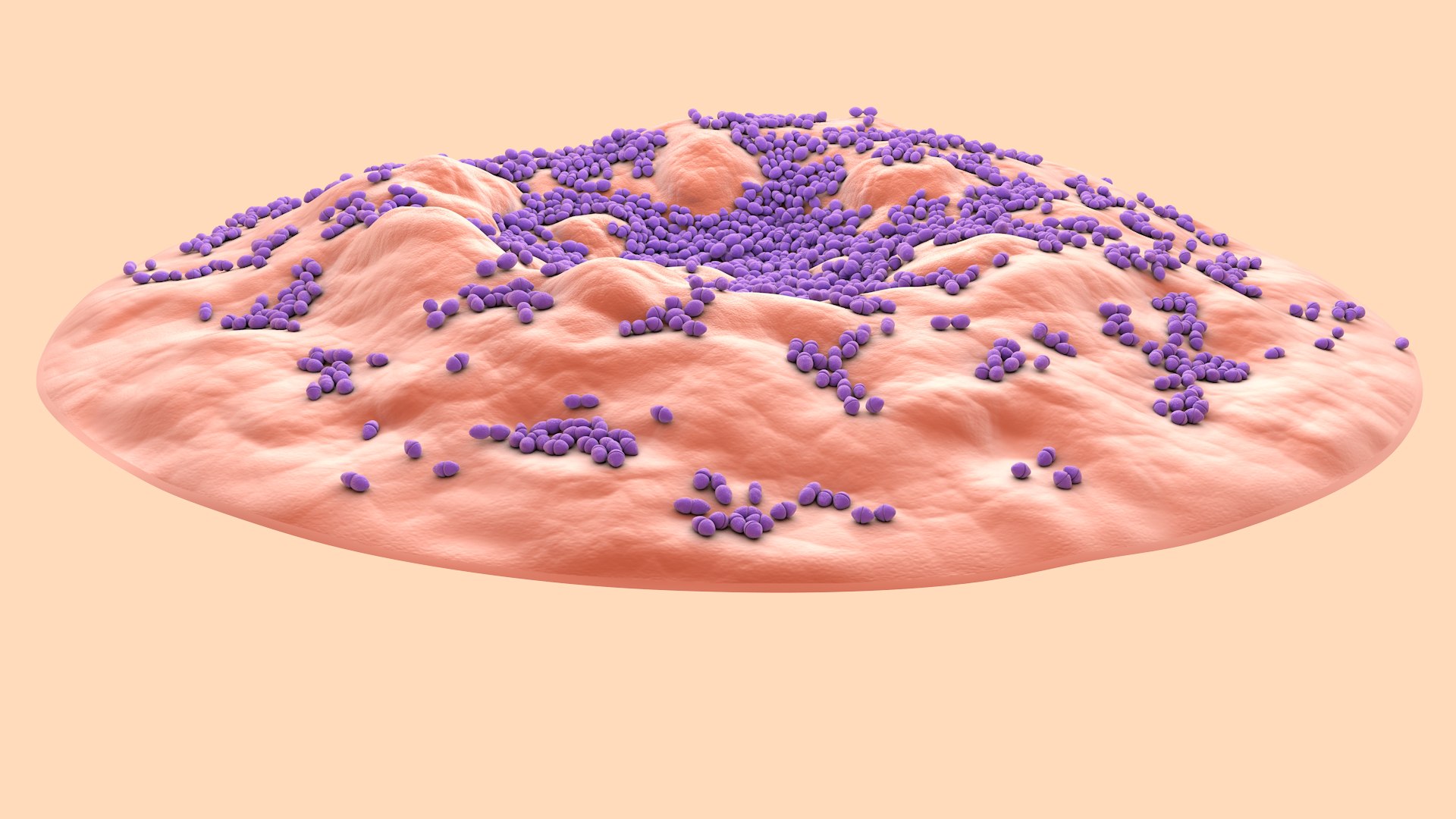 3D Enterococcus  or Streptococcus model https://p.turbosquid.com/ts-thumb/Nw/mRnSql/Td/enterococcus_0003/jpg/1714767553/1920x1080/fit_q87/c6af8ef64edb69c81f15cae5a5a8010b1678e12b/enterococcus_0003.jpg
