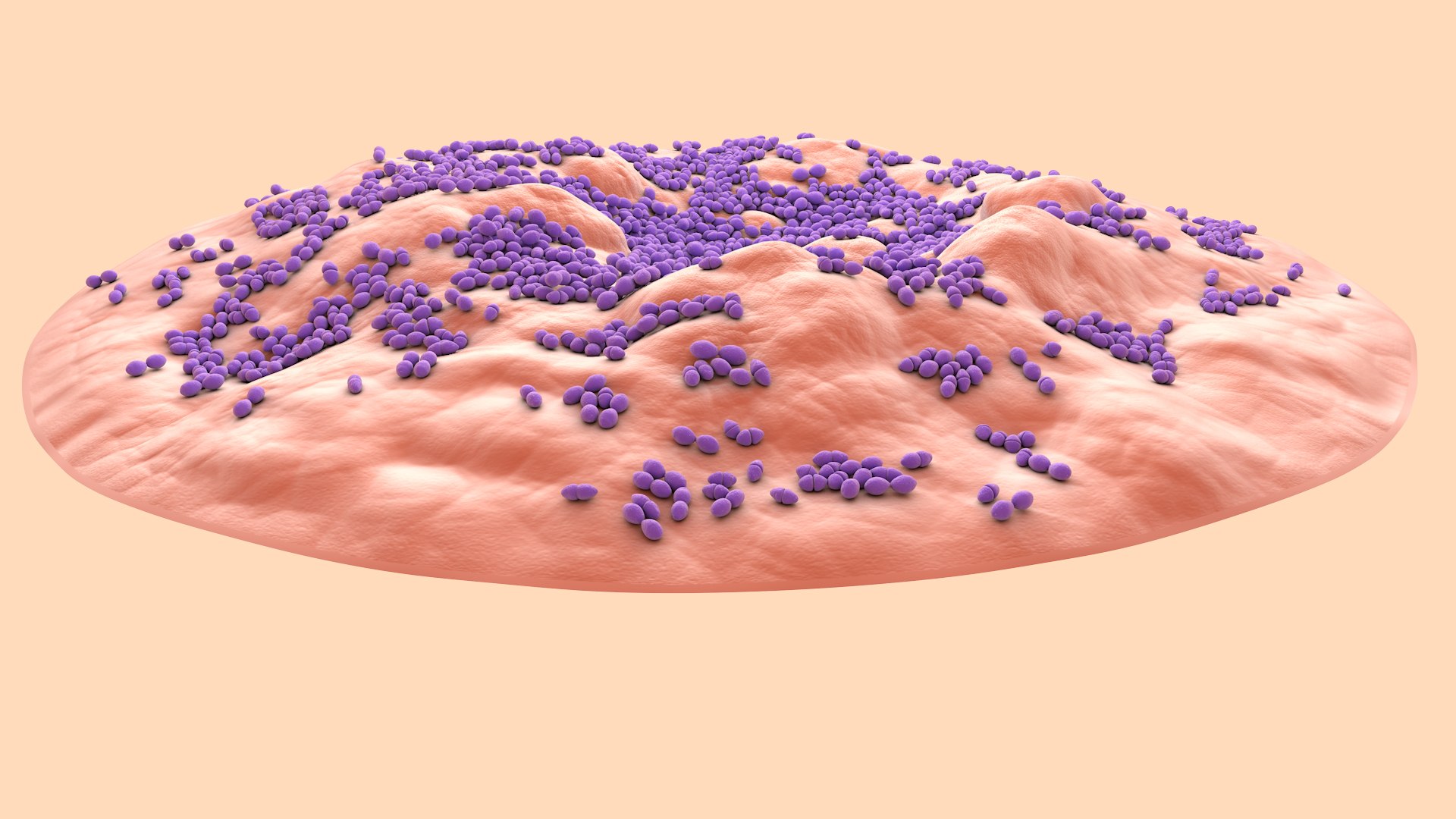 3D Enterococcus  or Streptococcus model https://p.turbosquid.com/ts-thumb/Nw/mRnSql/ZF/enterococcus_0002/jpg/1714767548/1920x1080/fit_q87/7581b4a4c7ef9a83137f2851569d1a026f0ca3ea/enterococcus_0002.jpg