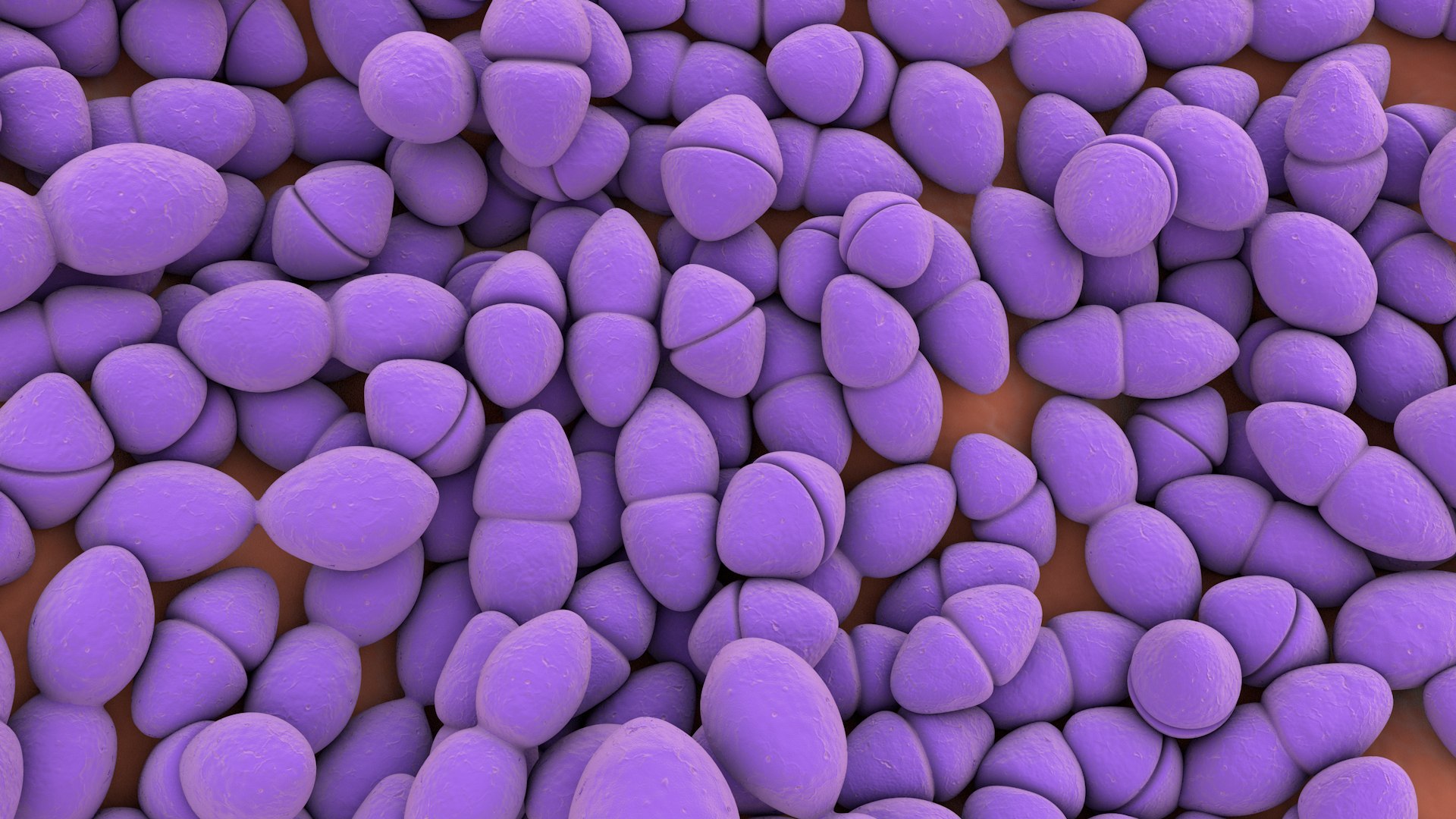 3D Enterococcus  or Streptococcus model https://p.turbosquid.com/ts-thumb/Nw/mRnSql/jr/enterococcus_0023/jpg/1714767566/1920x1080/fit_q87/998f9376f58744870cfd3a25bc02704397d22dca/enterococcus_0023.jpg