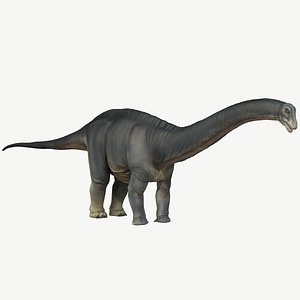 Apatosaurus