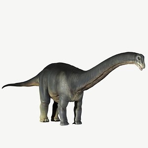 apatosaurus obj