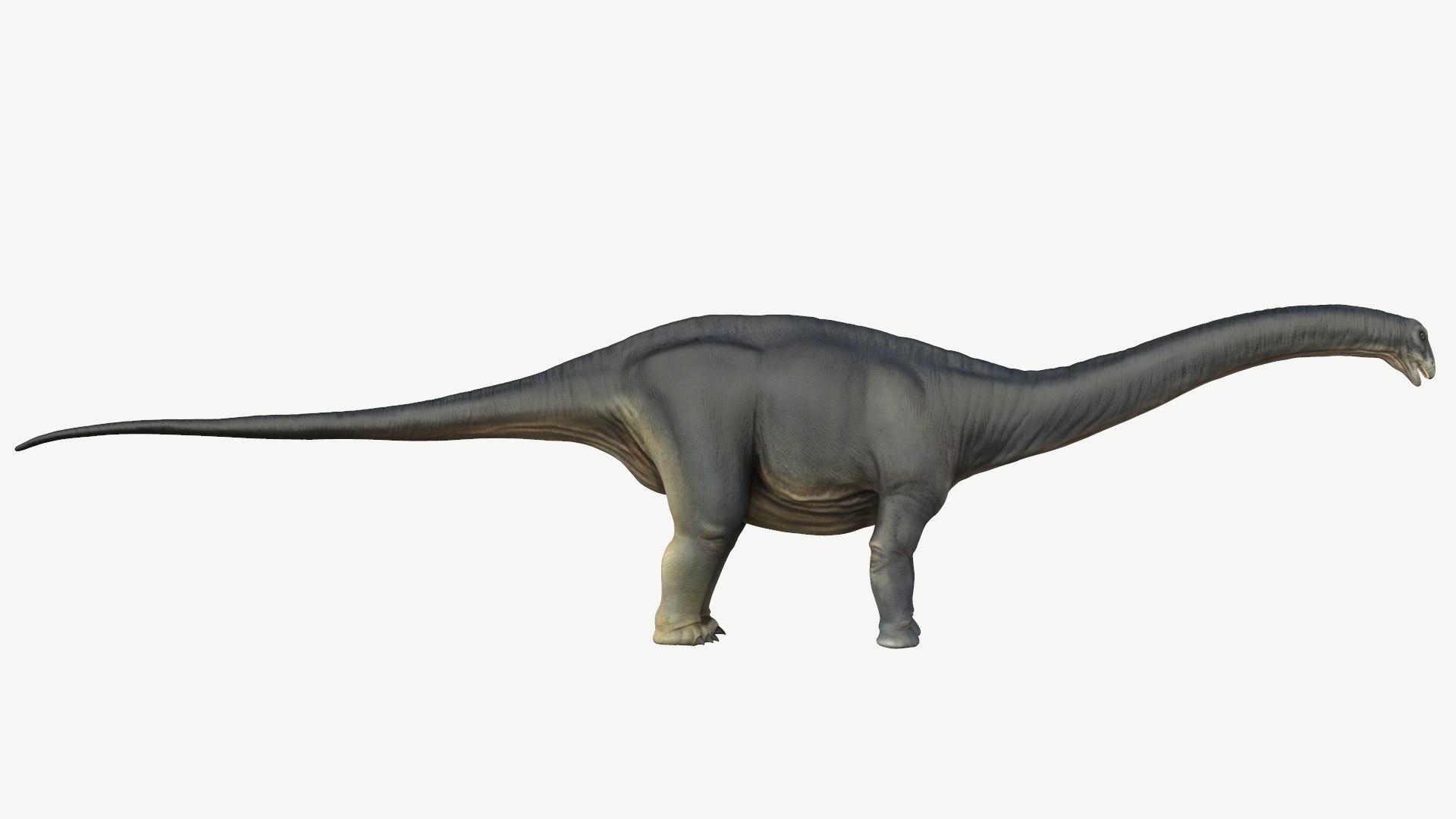 apatosaurus obj https://p.turbosquid.com/ts-thumb/Nw/zvRVHn/Nv/2/png/1728448598/1920x1080/fit_q87/799ec7b0a75cdc3818089b985cf7fe55e9b0b389/2.jpg