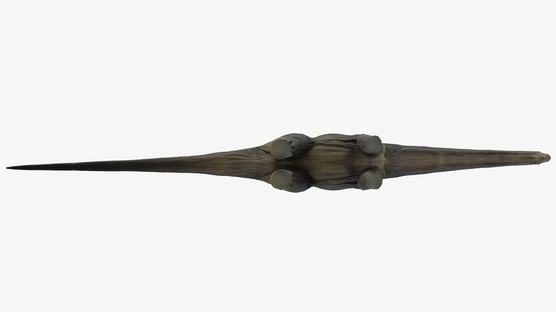 apatosaurus obj https://p.turbosquid.com/ts-thumb/Nw/zvRVHn/QH/6/png/1728448602/1920x1080/fit_q87/82f094f60f9e546cea9e8435dbeb1c58bca9493c/6.jpg