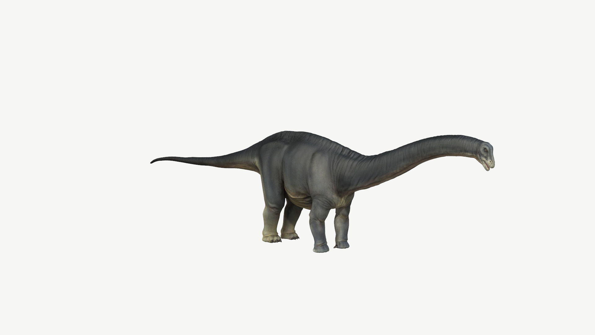 apatosaurus obj https://p.turbosquid.com/ts-thumb/Nw/zvRVHn/hc/apatosaurus/jpg/1728448643/1920x1080/turn_fit_q99/764a9ff4197649b3ed02f8e59374a950dc35a941/apatosaurus-1.jpg