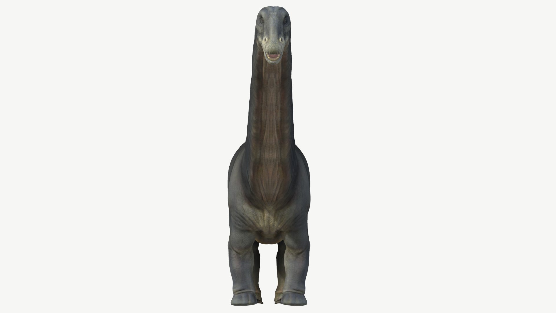 apatosaurus obj https://p.turbosquid.com/ts-thumb/Nw/zvRVHn/oy/5/png/1728448601/1920x1080/fit_q87/207462eb3ab8d1ad375ee4391fd66fc7c4888a1d/5.jpg